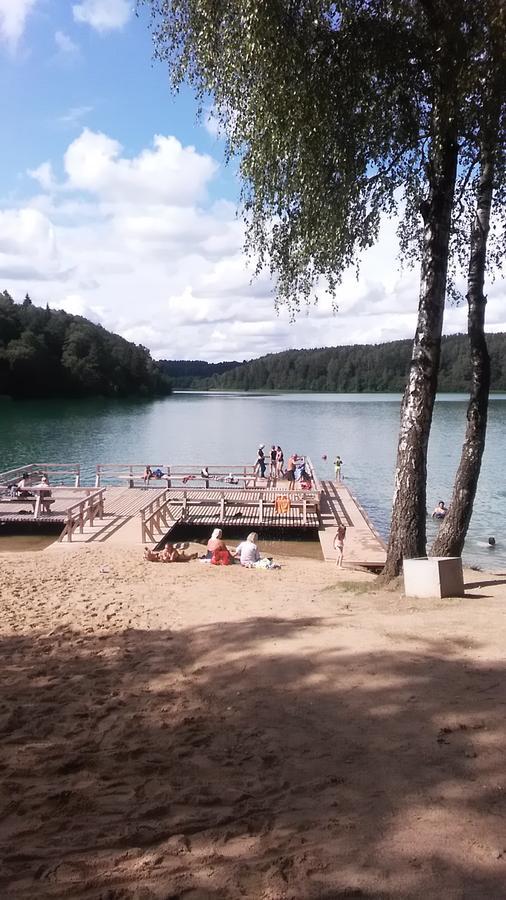 Ginto Svetingi Namai Hostel Vilnius Bagian luar foto