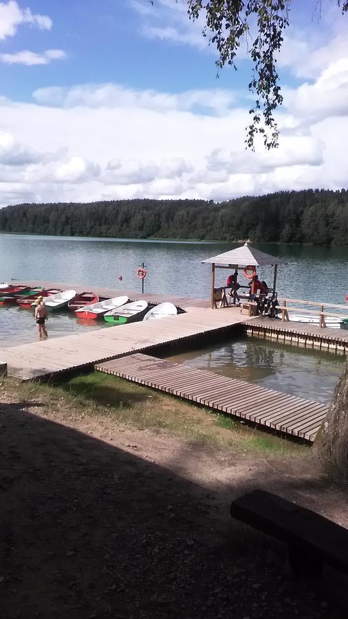 Ginto Svetingi Namai Hostel Vilnius Bagian luar foto